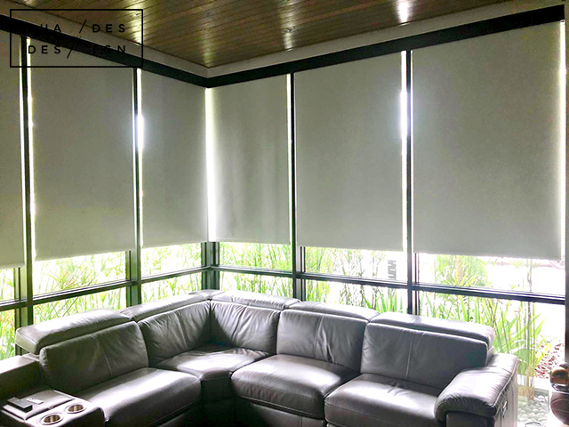 Entertainment room somfy shades