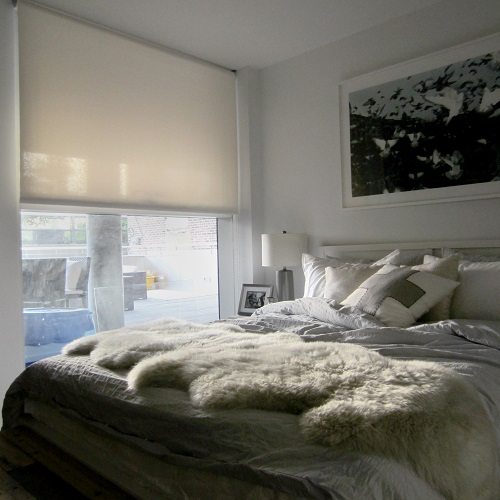 Screen roller shade Guest bedroom
