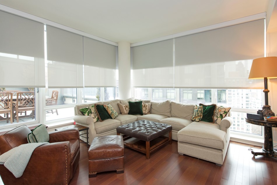 White Pearl Blackout Shade for a living room